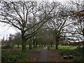 Path and trees, Wandsworth Common