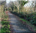 Footpath and cycle route through Bedford Park near Kenfig Hill