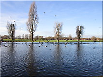 TA0527 : The boating lake at Pickering Park, Hull by Ian S