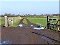 Farm track north of Twemlow Lane