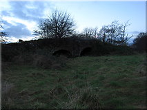 M2799 : The old bridge at Ballylahan by Pamela Norrington