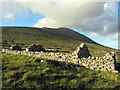 F6307 : 2-chambered dwelling at the Deserted Village, Slievemore by Pamela Norrington