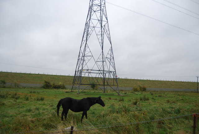 Horse and pylon by the Lea Navigation