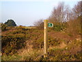 Footpath, Teignmouth golf course