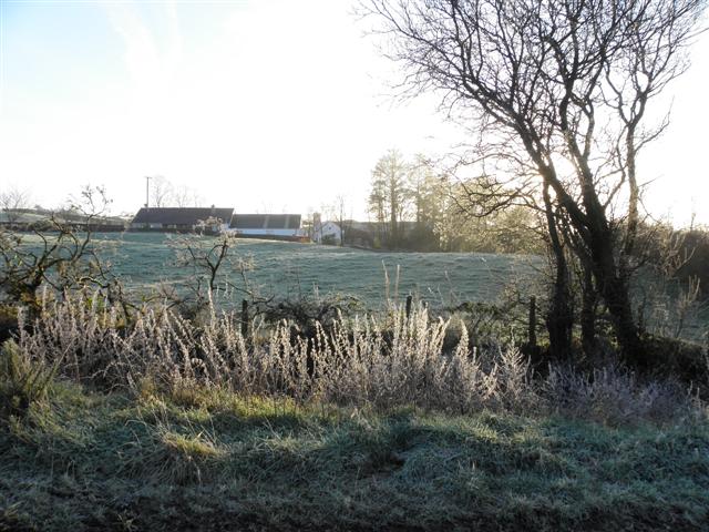 Frosty at Drumnakilly