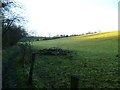 Hillside by bridleway west of Dunsfold