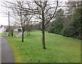 Site of Former Neath Rd Railway Station, Maesteg