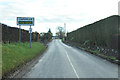 Road approaching Campmuir