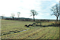 Farmland near Mill of Peattie