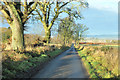 Minor road near Ballunie