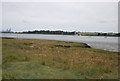TM2338 : Marshes by the River Orwell by N Chadwick