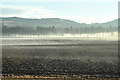 Misty fields near Kettins