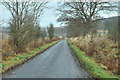 Minor road near Inverarity