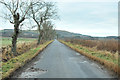 Minor road near Inverarity