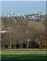 View from Norwood Park (4)