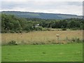 Fields beside Lower Lough Erne