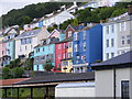 Kingswear Houses