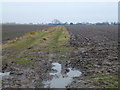 TL4997 : Muddy track near Halfpenny Toll Farm by Richard Humphrey