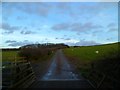 Farm track with sheep on the Petworth Estate