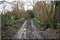 A bridge over Venn Stream at Duckslake