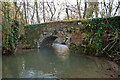 A bridge in the woods crossing Venn Stream at Duckslake