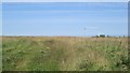 Cambois Links