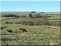 East Allendale around Crawberry Cleugh