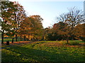 Autumn colours in Bothwell Castle policies