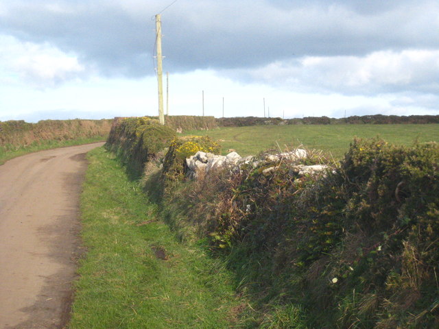 Cornish hedge at Trewavas