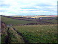 Track along a field edge at Tremearne