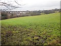 Tyersal Beck valley