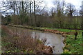 Stream flowing into pond beside High Street, Westerham