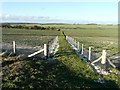 Footpath heading towards Bockhill Farm