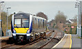 J1561 : Train, Moira (2012-1) by Albert Bridge