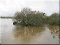 Afon Rhyd Hir