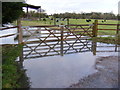 TM3667 : Flooded Gateway at Corner Farm by Geographer