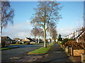 Compass Road, The Ghost Estate, Hull