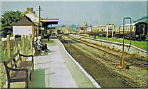 SX7466 : Buckfastleigh station, Dart Valley Railway 1973 by Ben Brooksbank