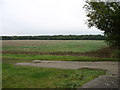 Fields near Grafton Underwood