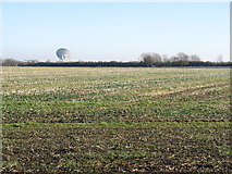 TL3853 : A field east of Little Eversden by David Purchase