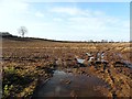 Water-logged field, Trummery