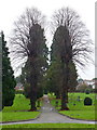 Tredworth cemetery, 2