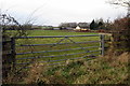 Gate onto the cow field