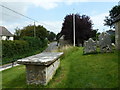 St Peter, West Knighton: churchyard (1)