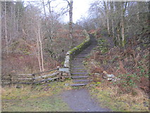 NY9028 : Steps for permissive path to Gibson's Cave Waterfall by peter robinson