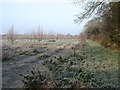 The orchard at Chiswick End, under frost