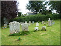 St Peter, West Knighton: churchyard (7)