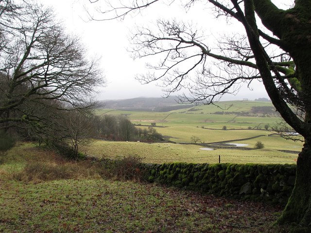 Fields near Blackhall Farm