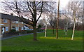 Grassy area along Keyham Lane West