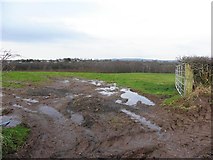 H4970 : A muddy field entrance, Edenderry by Kenneth  Allen